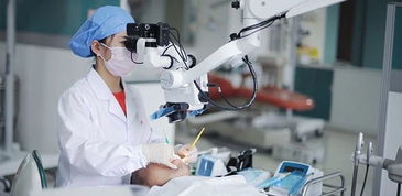 深度解析 成都高新区人工智能产业发展蓝皮书——聚焦人工智能应用软件开发新纪元