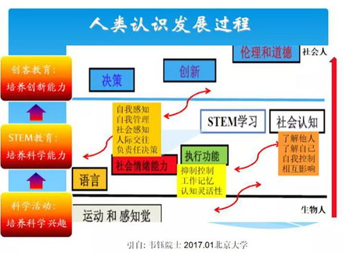 人工智能在科学教育中的未来图景 挑战、机遇与软件开发实践